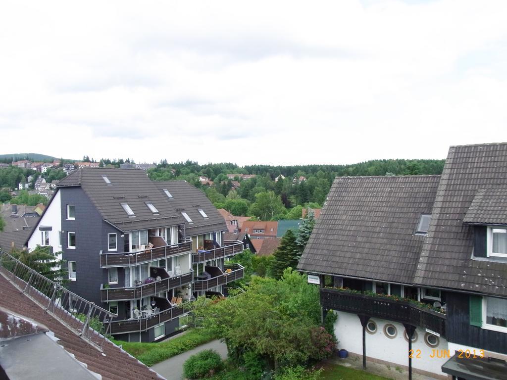 Schimmer